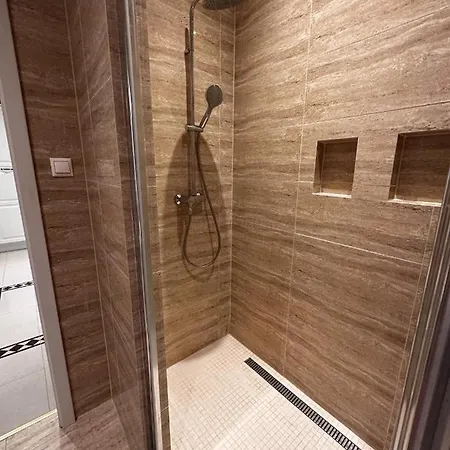 Gorkeho In Centre Apartament *